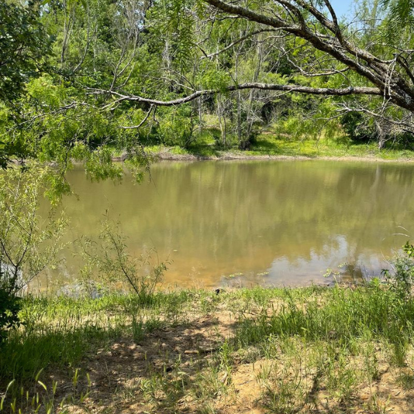 Mansfield Series Tanya Ragan